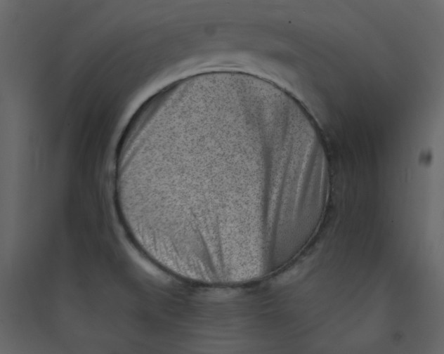X0000089441519200707131855