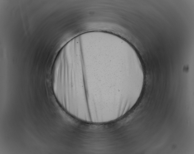 X0000089441521200707131855