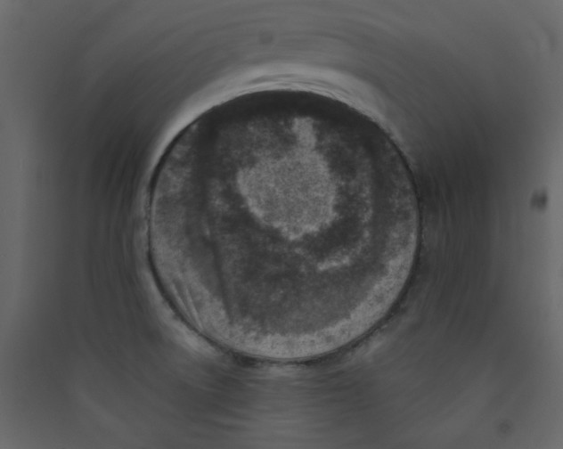 X0000089441522200707131855