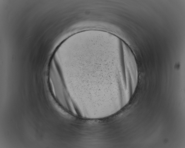 X0000089441523200707131855