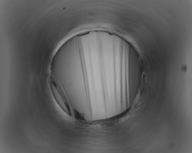 X0000089441524200707131855