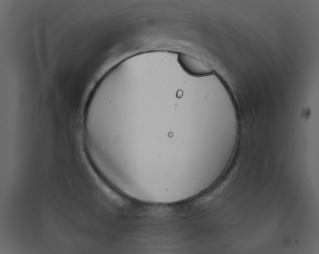 X0000089441525200707131855