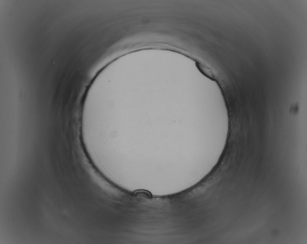 X0000089441526200707131855