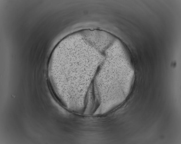 X0000089441527200707131855