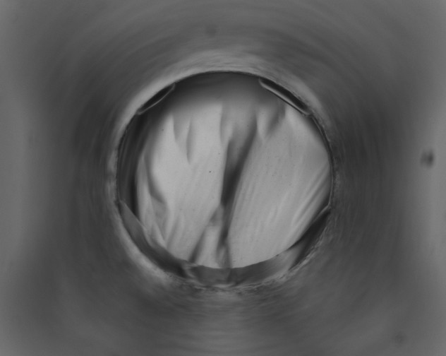 X0000089441528200707131855