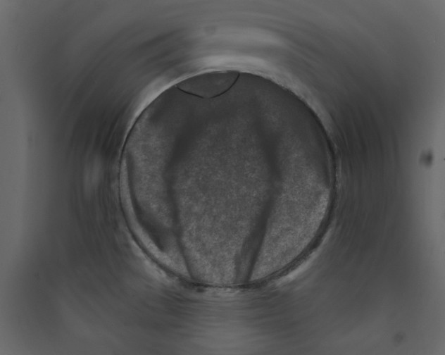 X0000089441529200707131855
