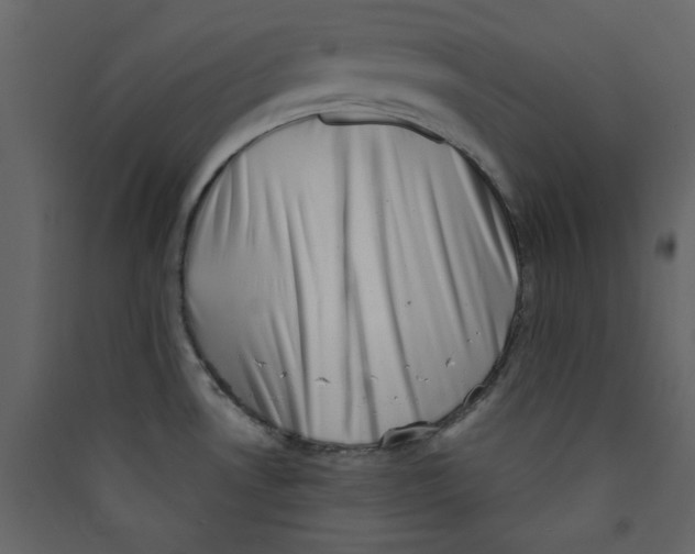 X0000089441530200707131855