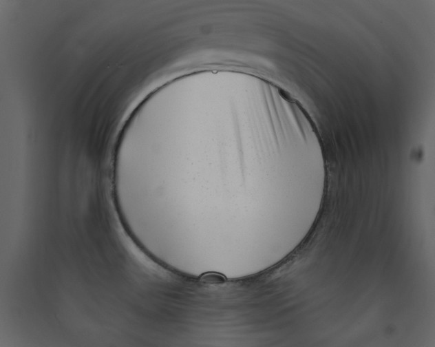 X0000089441531200707131855