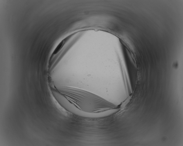 X0000089441532200707131855