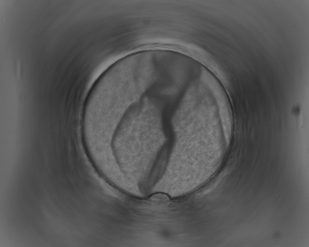 X0000089441533200707131855