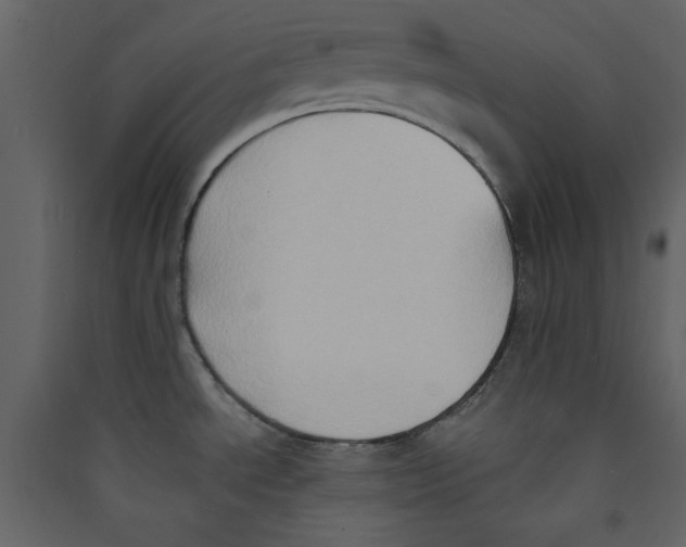 X0000089441534200707131855