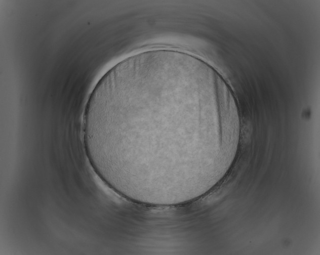X0000089441535200707131855