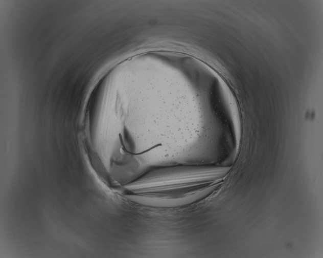 X0000089441536200707131855