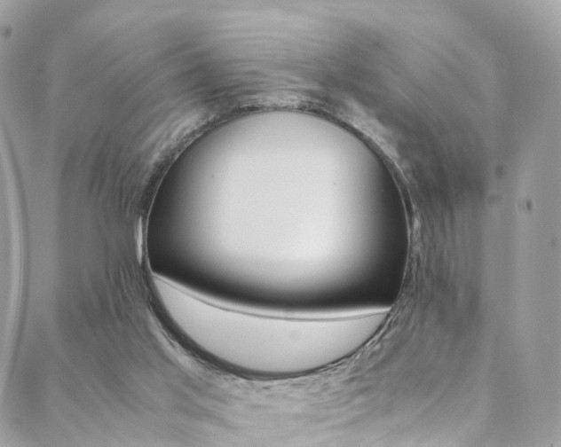 X0000089450013200706151048
