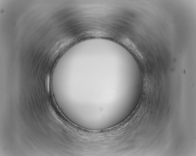 X0000089450014200706151048