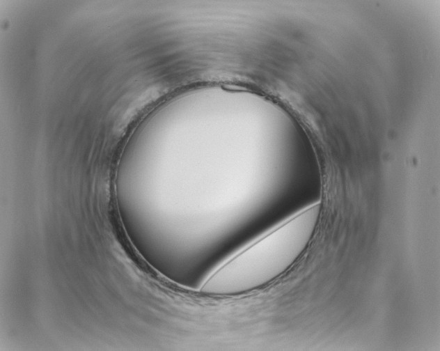 X0000089450015200706151048