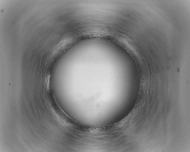 X0000089450070200706151047