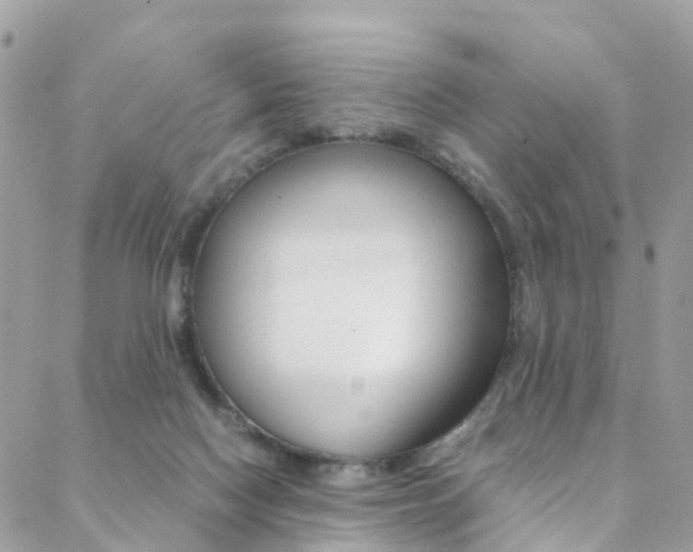 X0000089450074200706151047