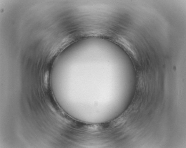 X0000089450118200706151046