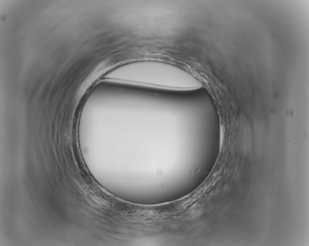 X0000089450195200706151045