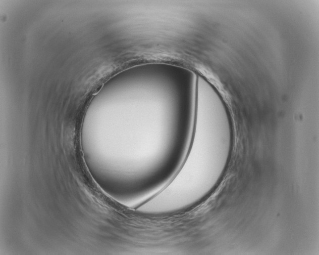 X0000089450201200706151045