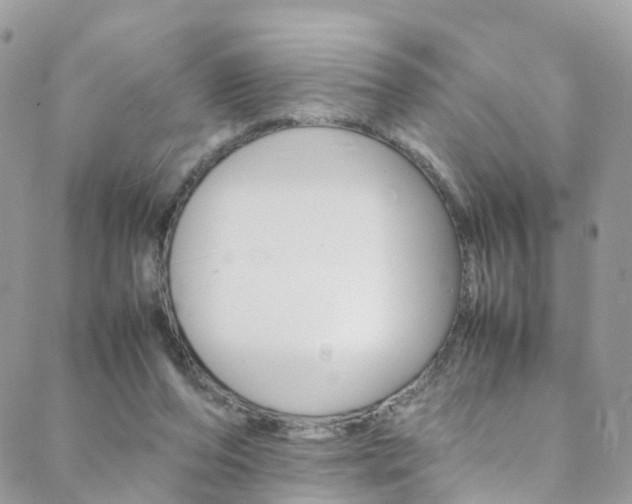 X0000089450208200706151044