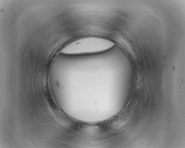 X0000089450210200706151044