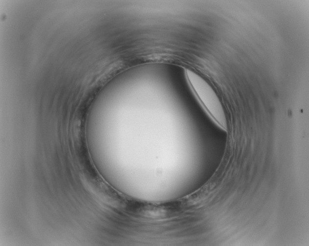 X0000089450263200706151044