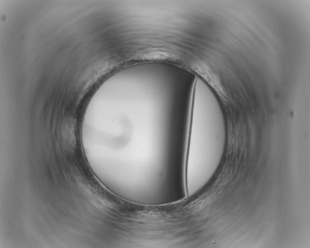 X0000089450300200706151043