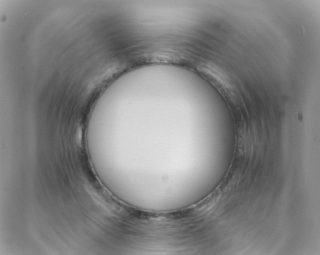 X0000089450310200706151043