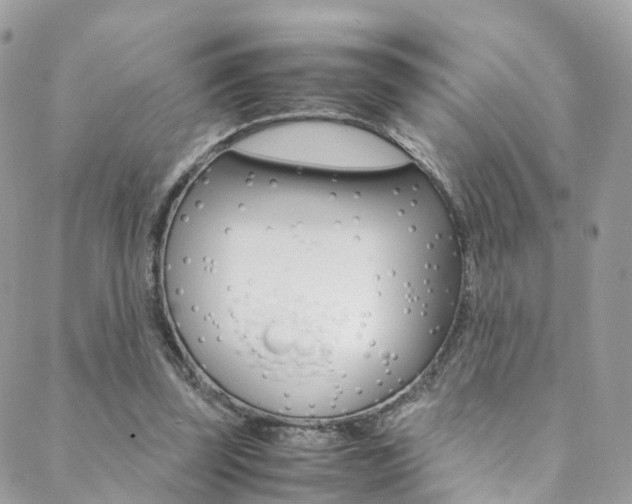 X0000089450347200706151042