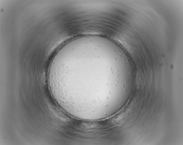X0000089450351200706151042
