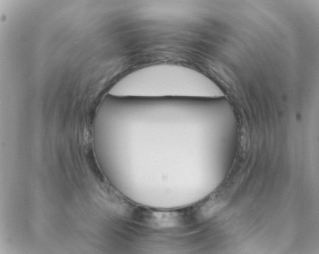 X0000089450371200706151042