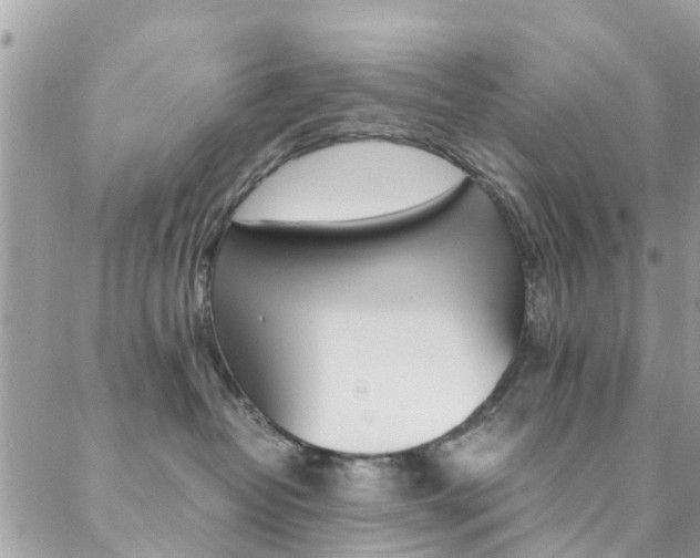 X0000089450382200706151042