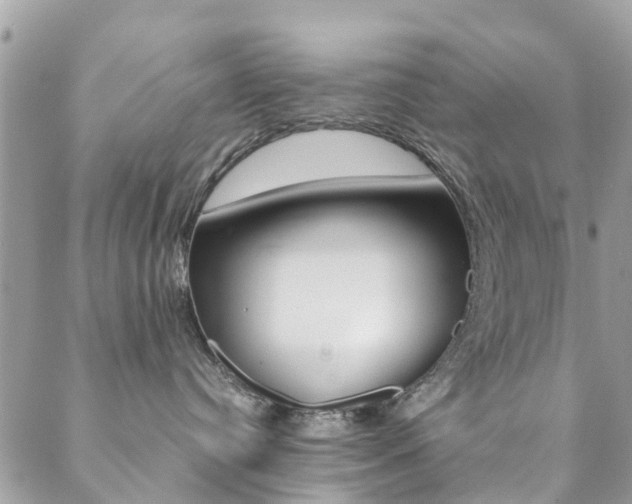 X0000089450384200706151042