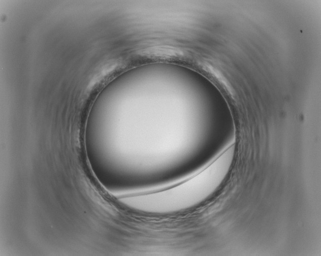 X0000089450399200706151041