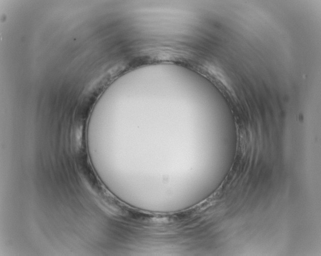 X0000089450406200706151041