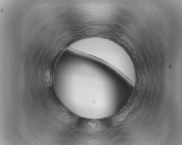 X0000089450420200706151041