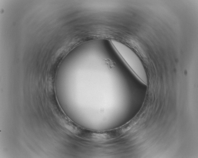 X0000089450457200706151040