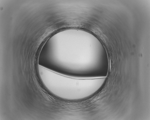 X0000089450483200706151040