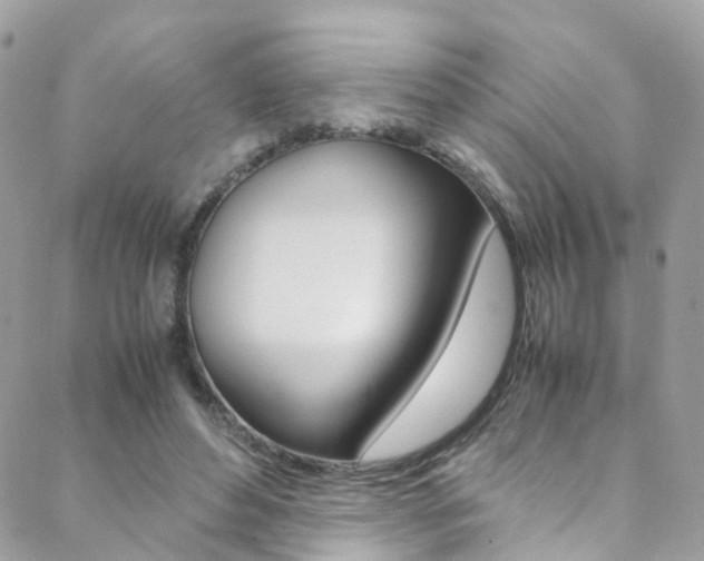 X0000089450496200706151040