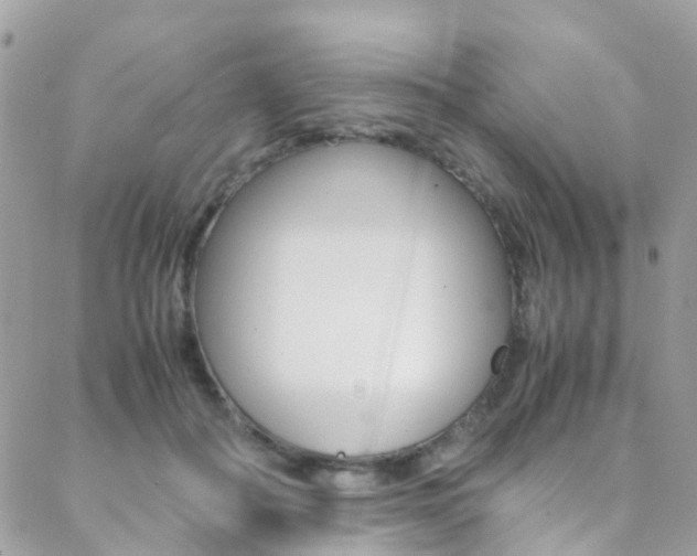 X0000089450506200706151040