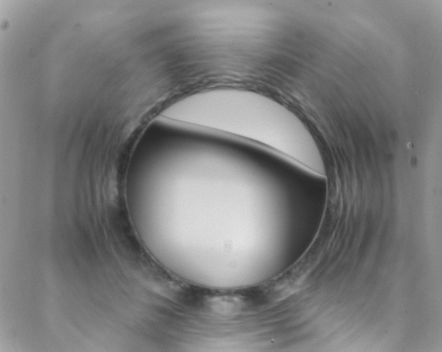 X0000089450508200706151040