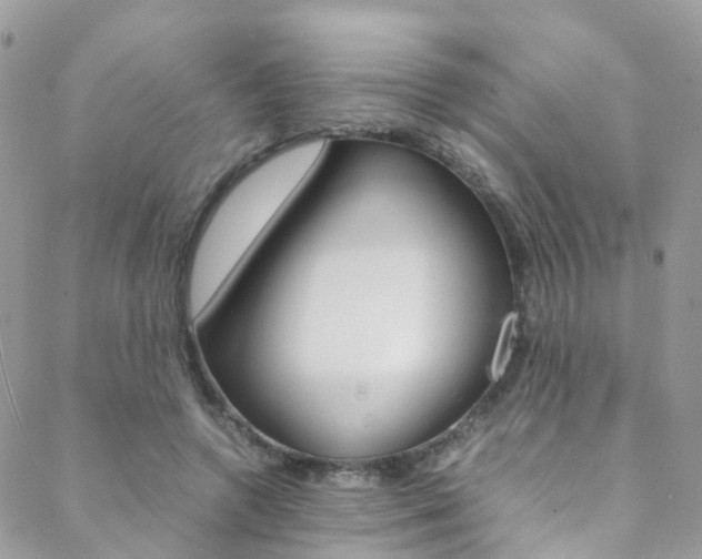 X0000089450546200706151039