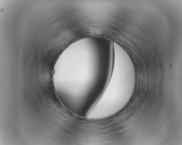 X0000089450608200706151038