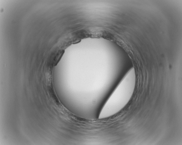 X0000089450609200706151038