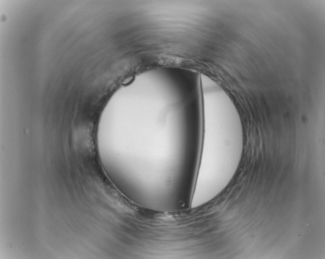 X0000089450616200706151038