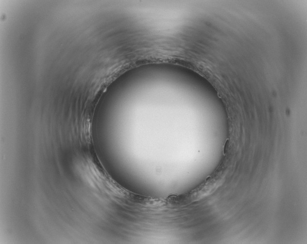 X0000089450624200706151038
