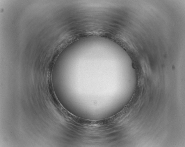 X0000089450647200706151037
