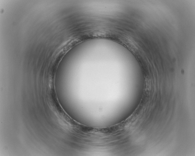 X0000089450648200706151037